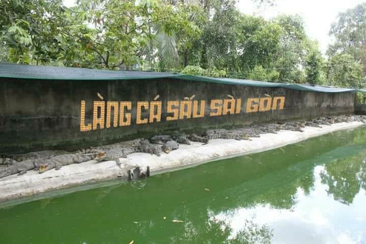 làng cá sấu Sài Gòn